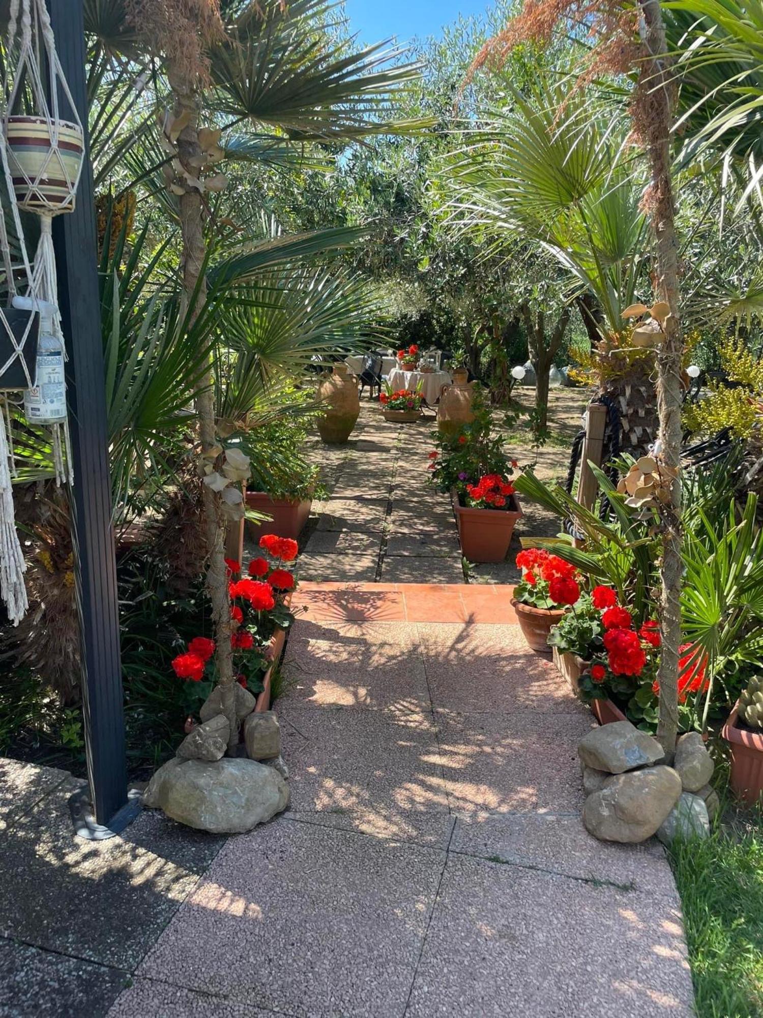 La Casina Di Simo Villa Montenero  Buitenkant foto